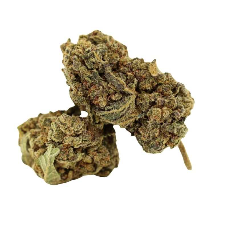 PORN STAR (Small Bud)