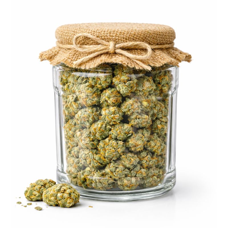 BABA FARMER KUSH (Soutien aux agriculteurs)