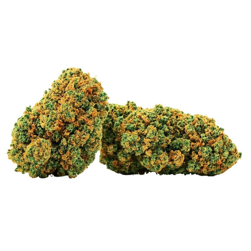 Snoopy Doggy Kush en gros plan – Collection THC+ Chez Baba