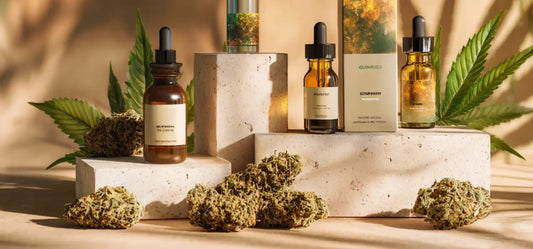 Grossiste CBD France, résine, fleurs et produits premium pour professionnel 