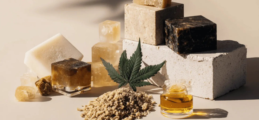 Grossiste Résine & Hash CBD : Qualité Premium pour Revendeurs