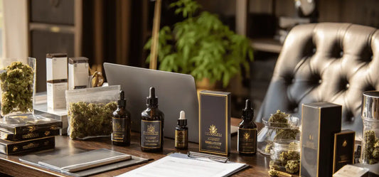 Comment Devenir Revendeur CBD ? Guide Complet pour Professionnels