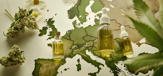 Grossiste CBD Belgique & Suisse : Fournisseur pour Revendeurs Européens
