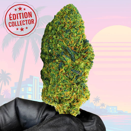 Hawaiian Dream Pie – L’Édition Collector Tropicale