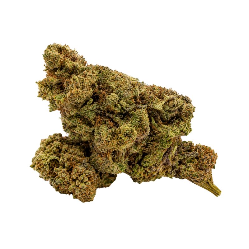 MASTER KUSH (50% MS)
