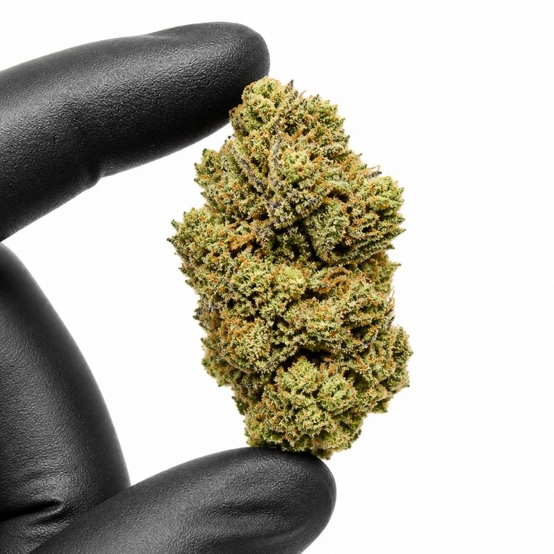 747 OG (50% MS)