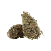 CHOCOLATA SKUNK｜10-OH-HHC + : 30%