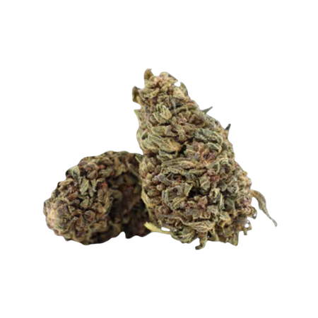 CHOCOLATA SKUNK｜10-OH-HHC + : 30%