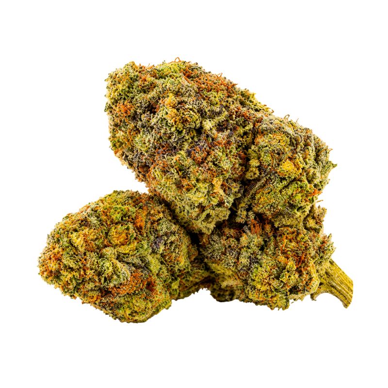 GORILLA KUSH (50% MS)