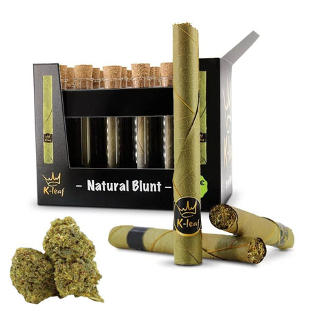 Royal Cigare - CANNAGAR | K-LEAF | Early Girl 10-OH +