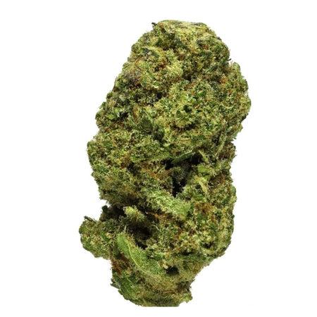 Amnesia Haze + 20% 10-OH – Small Bud – Indoor-Hydro