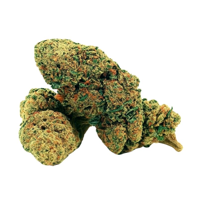 Bud Gozilla Skunk en édition limitée – Fleur premium aux trichomes denses