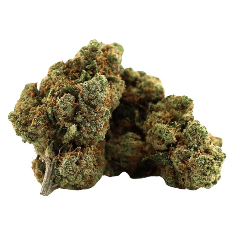 Tête de PIKA T’CHUP’S HAZE – Fleur CBD THC+ ultra résineuse, édition limitée