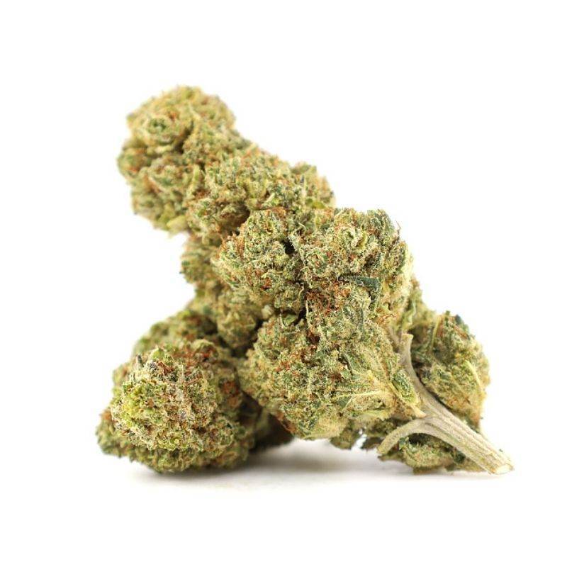 LA BABA BOX CBN+ & CBG+ (HIGH++) - Chez BabaCBN+Chez - baba.frBABA BOX MAXLA BABA BOX CBN+ & CBG+ (HIGH++) - Chez Baba