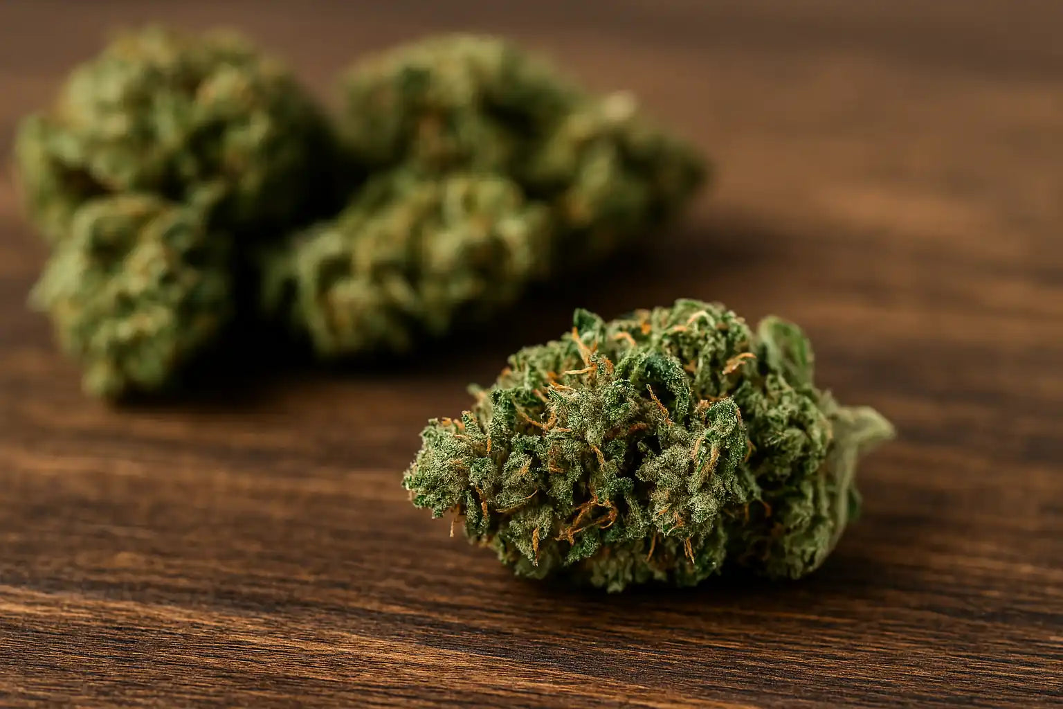 Cannabis premium THC+ en gros plan, ambiance relaxante et légale, avec fleurs et résine artisanales Chez Baba          Demander à ChatGPT