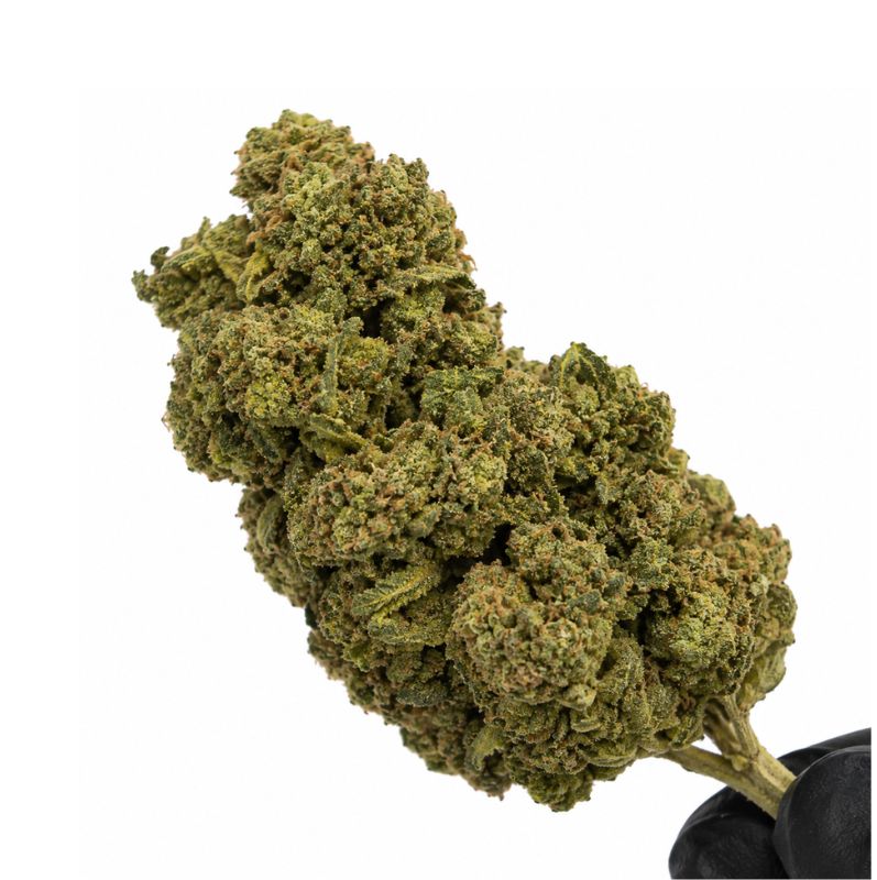 BUBBLE CHEESE | CBD – Image 2