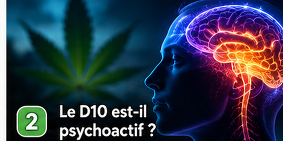 Illustration Chez Baba : Le D10 est-il psychoactif ?