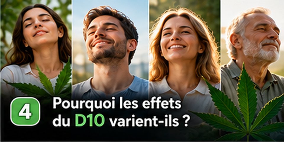 Illustration Chez Baba : Pourquoi les effets du D10 varient-ils d’une personne à l’autre ?