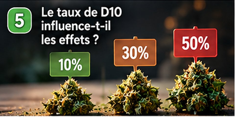Illustration Chez Baba : Le taux de D10 influence-t-il les effets ?