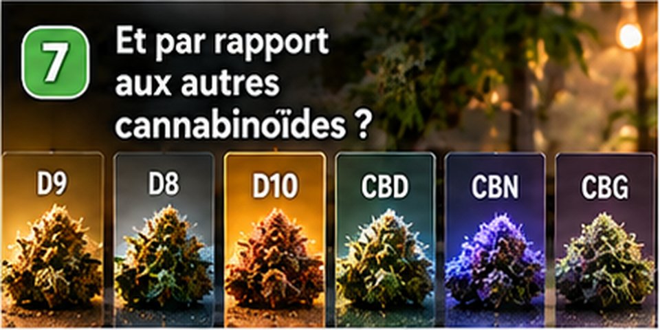 Illustration Chez Baba : Et par rapport au CBG, au CBN ou au 10OH ?